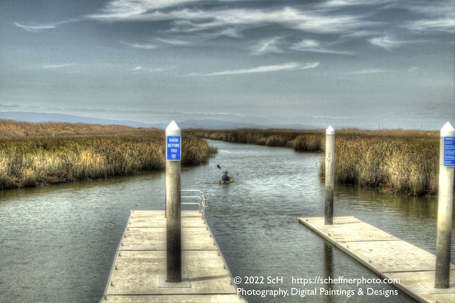 navigating the marsh